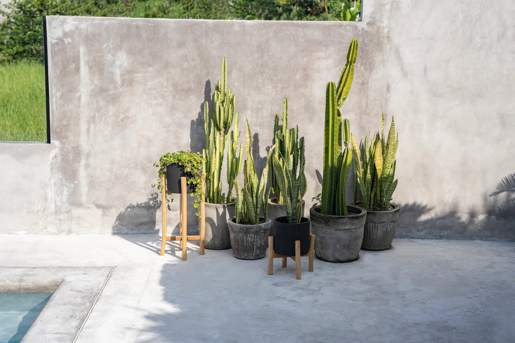 CHARCOAL Plant Holder - Black