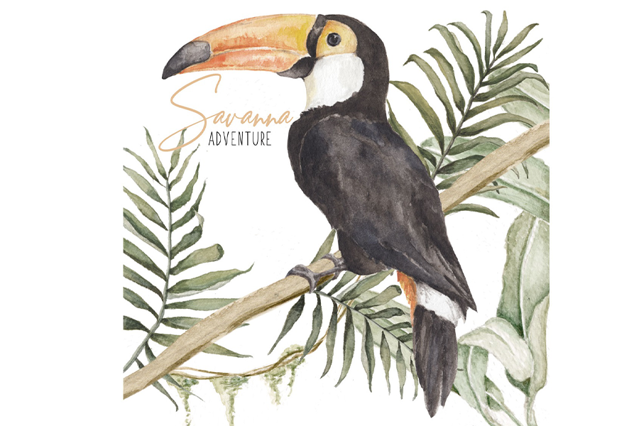 Sticker de perete TOUCAN 50x50CM