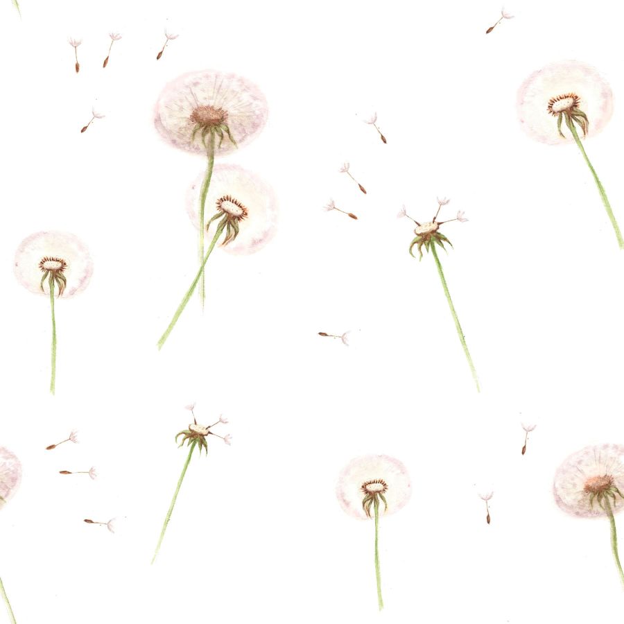 DANDELIONS Wallpaper