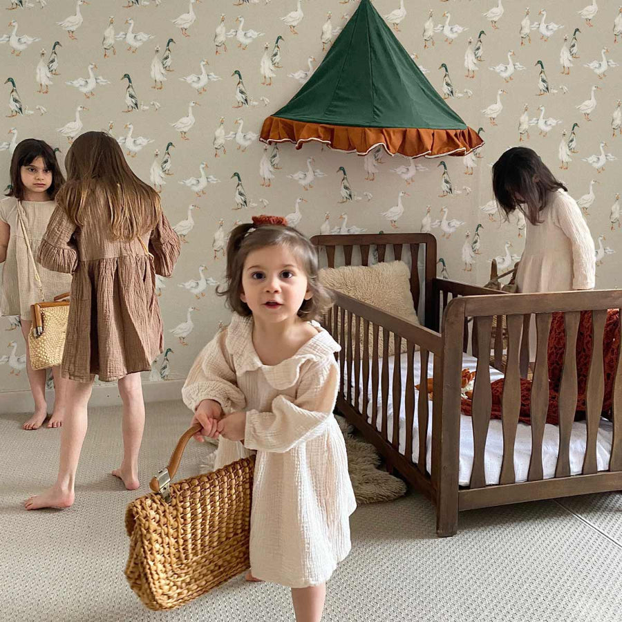 Imagine de fundal WHITE Ducks / Return to Innocence