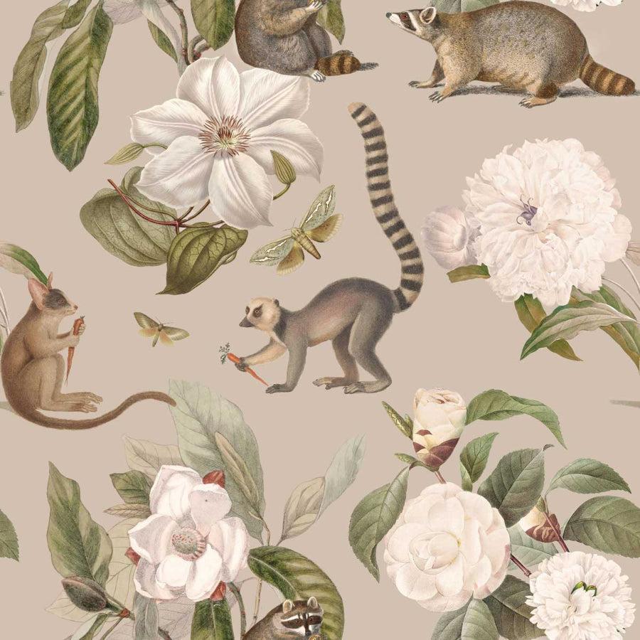 Imagini de fundal Regatul LEMUR