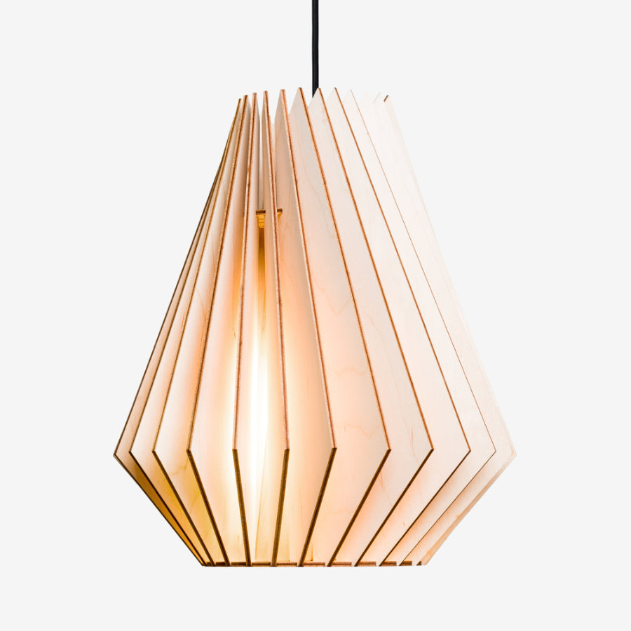 HEKTOR Pendant Light