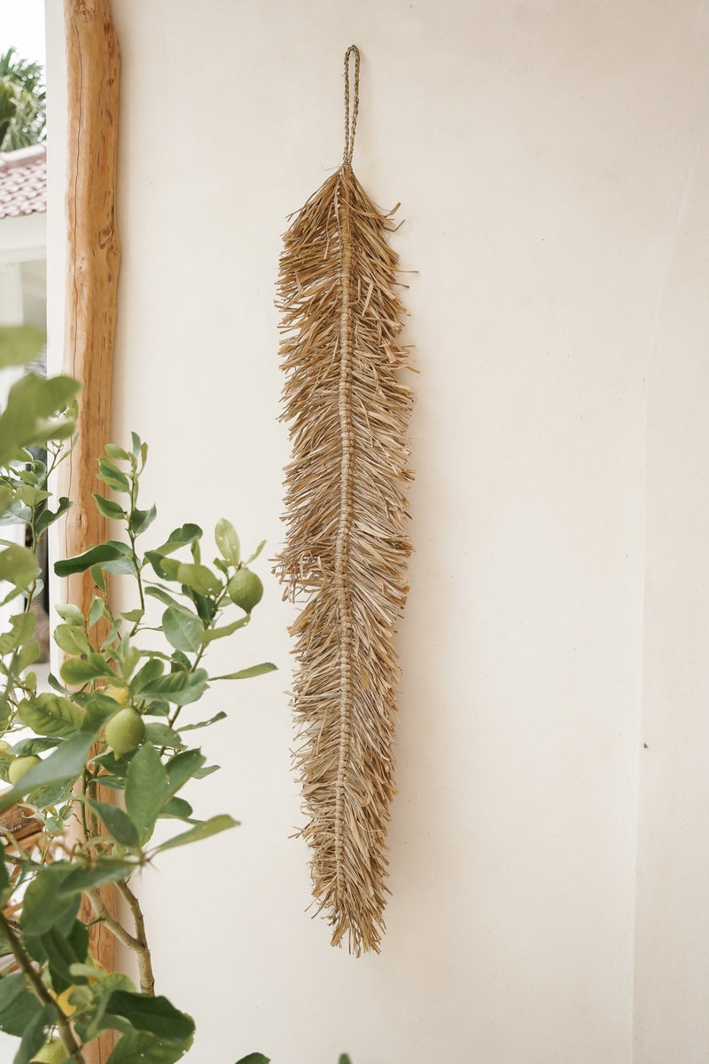 Decor de perete Coada de maimuță