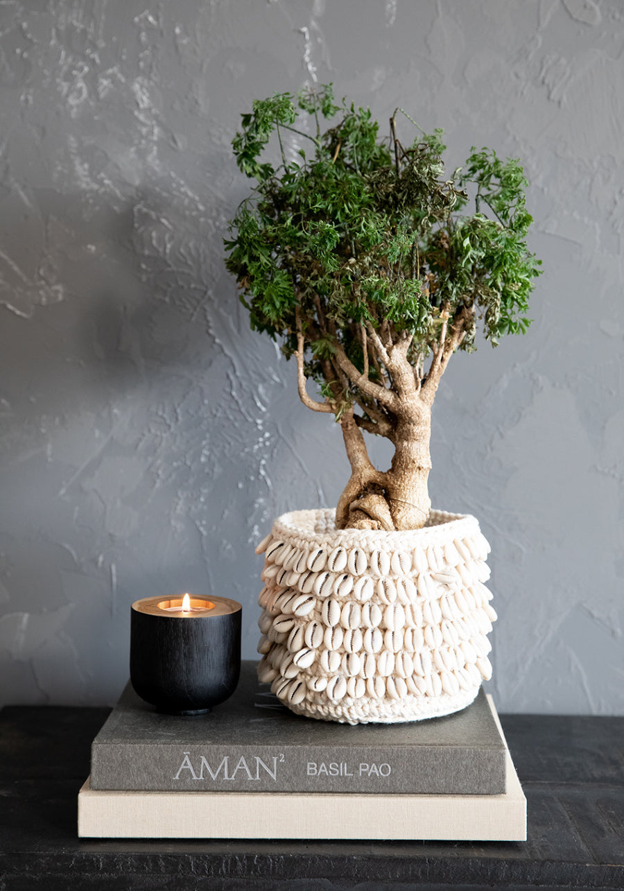 COWRIE Macrame Planter