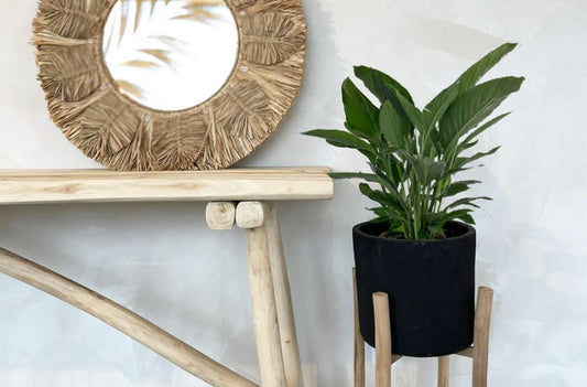 CHARCOAL Plant Holder - Black