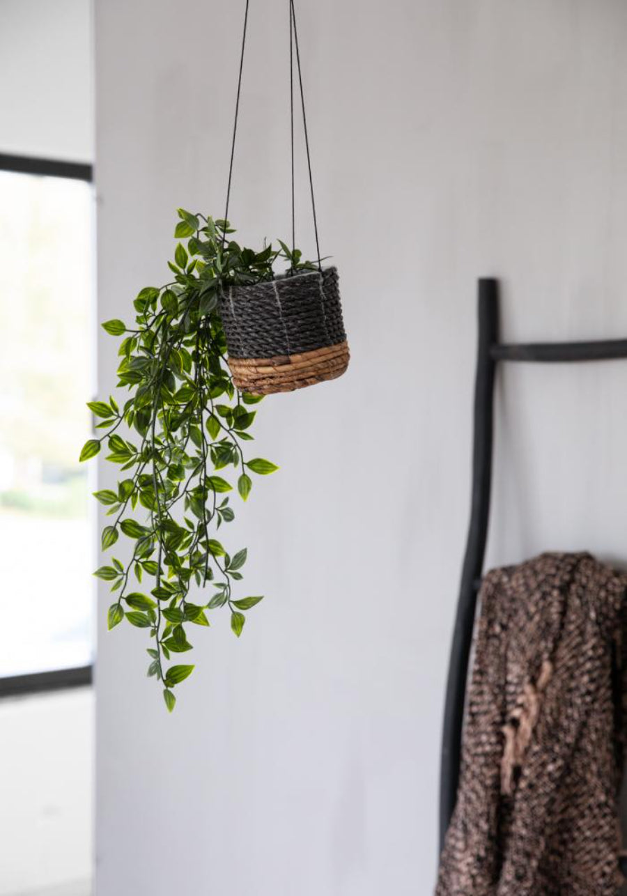 BANANA Plant Hanger