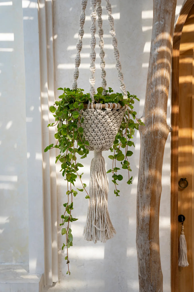 Suport pentru plante Macrame TWISTED - Alb