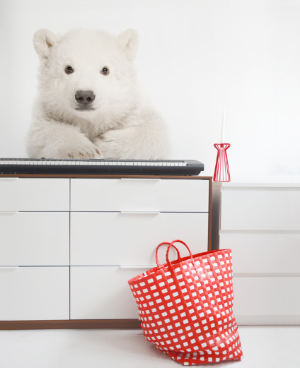 POLAR BEAR Wall Sticker