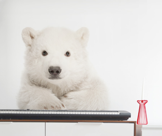 POLAR BEAR Wall Sticker