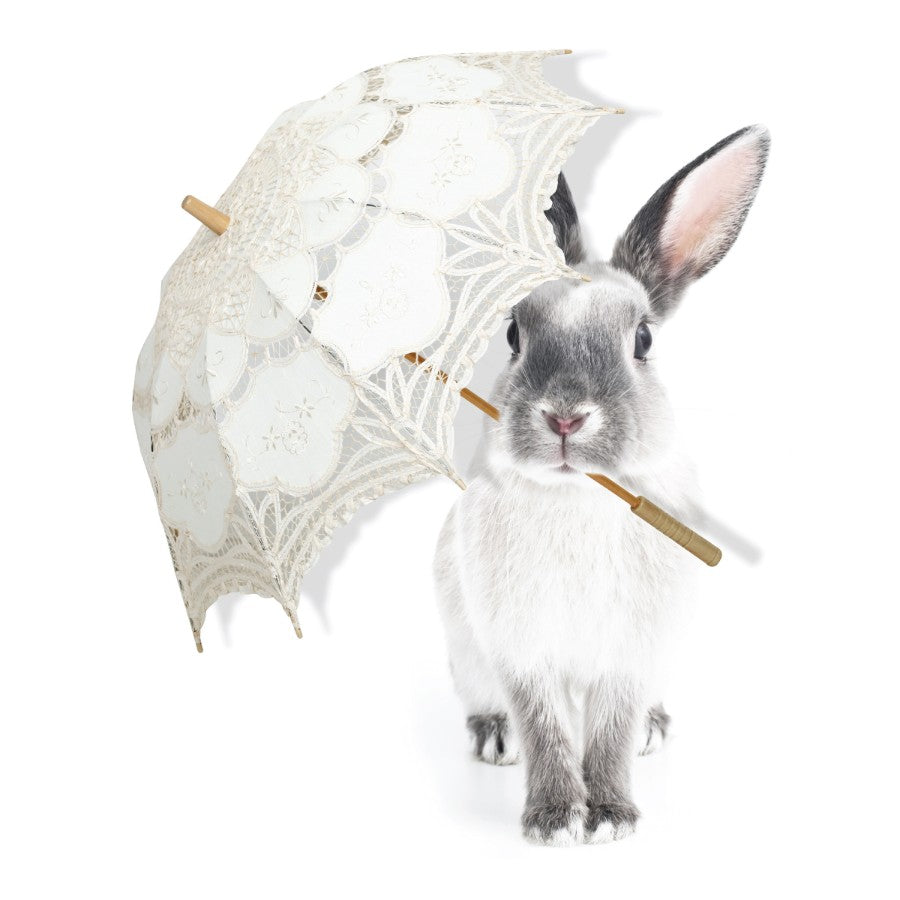 HARRY'S SINGING IN THE RAIN Wall Sticker SET