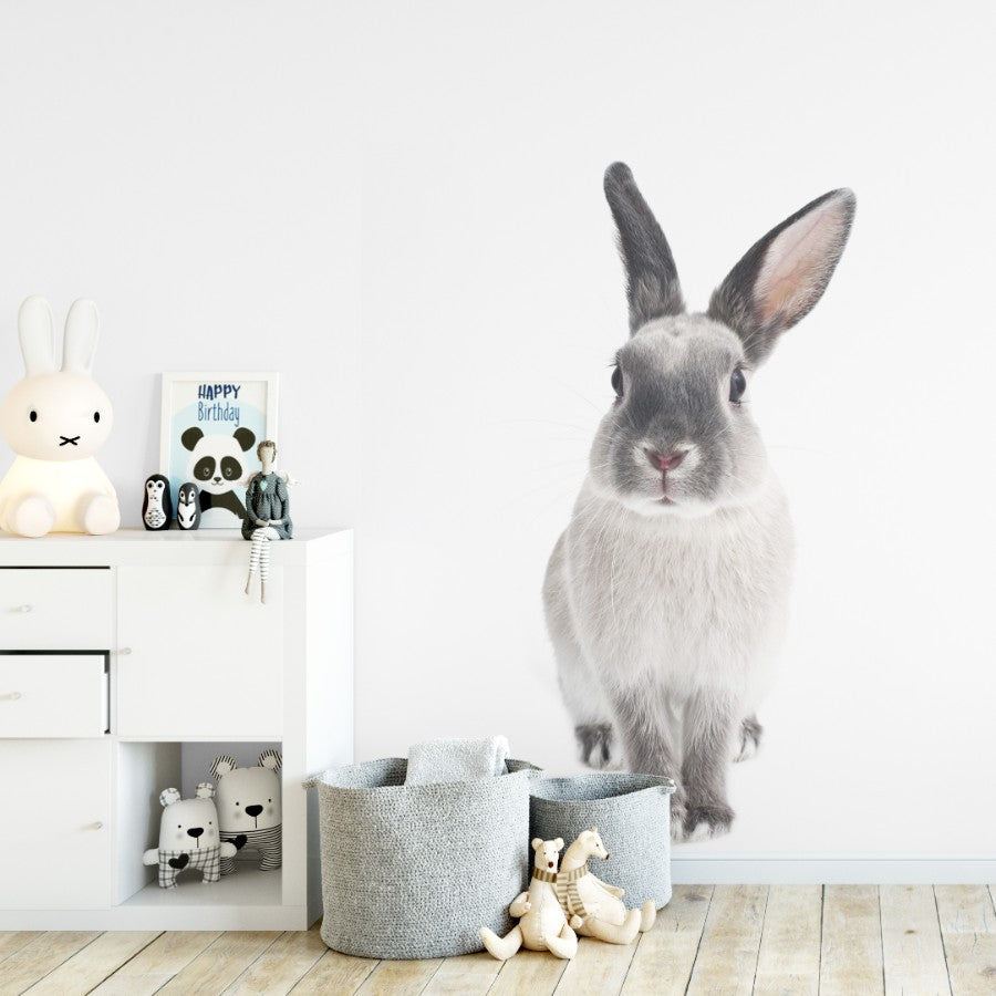 HARRY THE RABBIT Wall Sticker