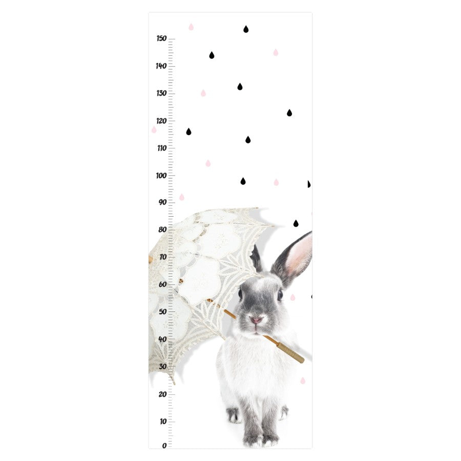 RAINY DAY WITH HARRY GROWTH CHART Wall Sticker