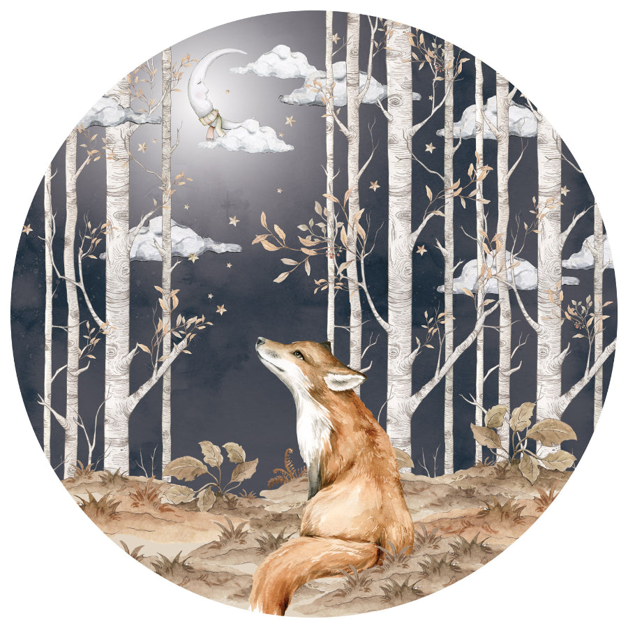 FOX In A Circle