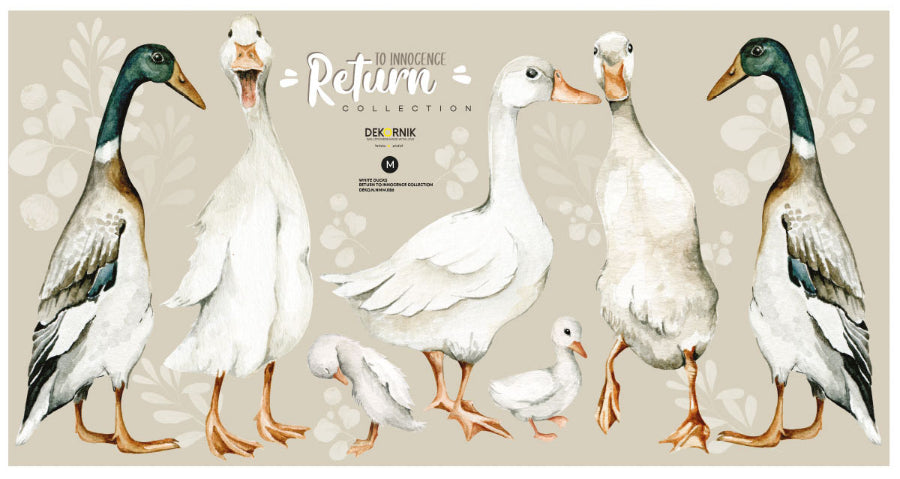 WHITE Ducks / Return to Innocence 