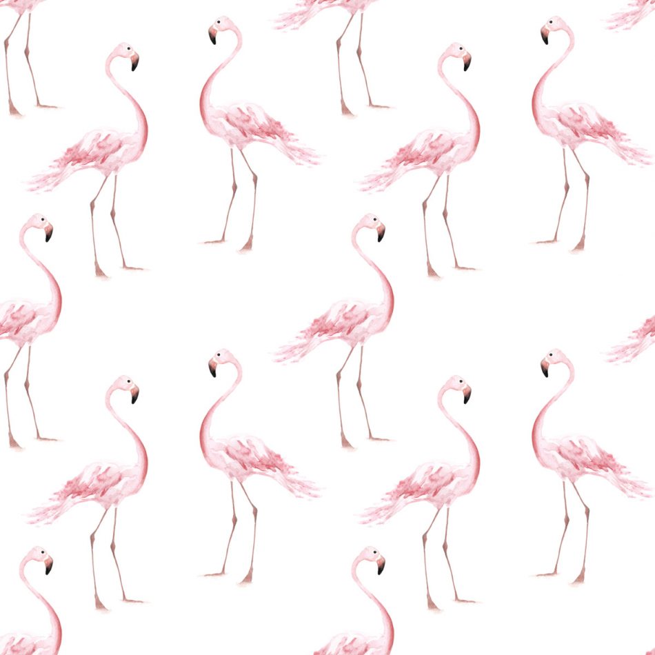 FLAMINGOS Wallpaper