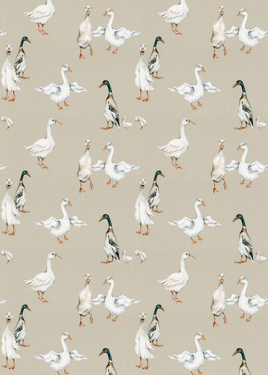 WHITE Ducks Wallpaper / Return to Innocence