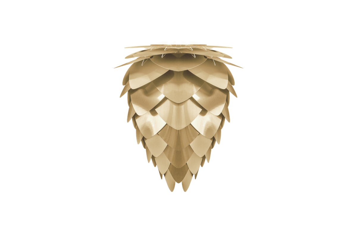 CONIA Brushed Brass Pendant Light