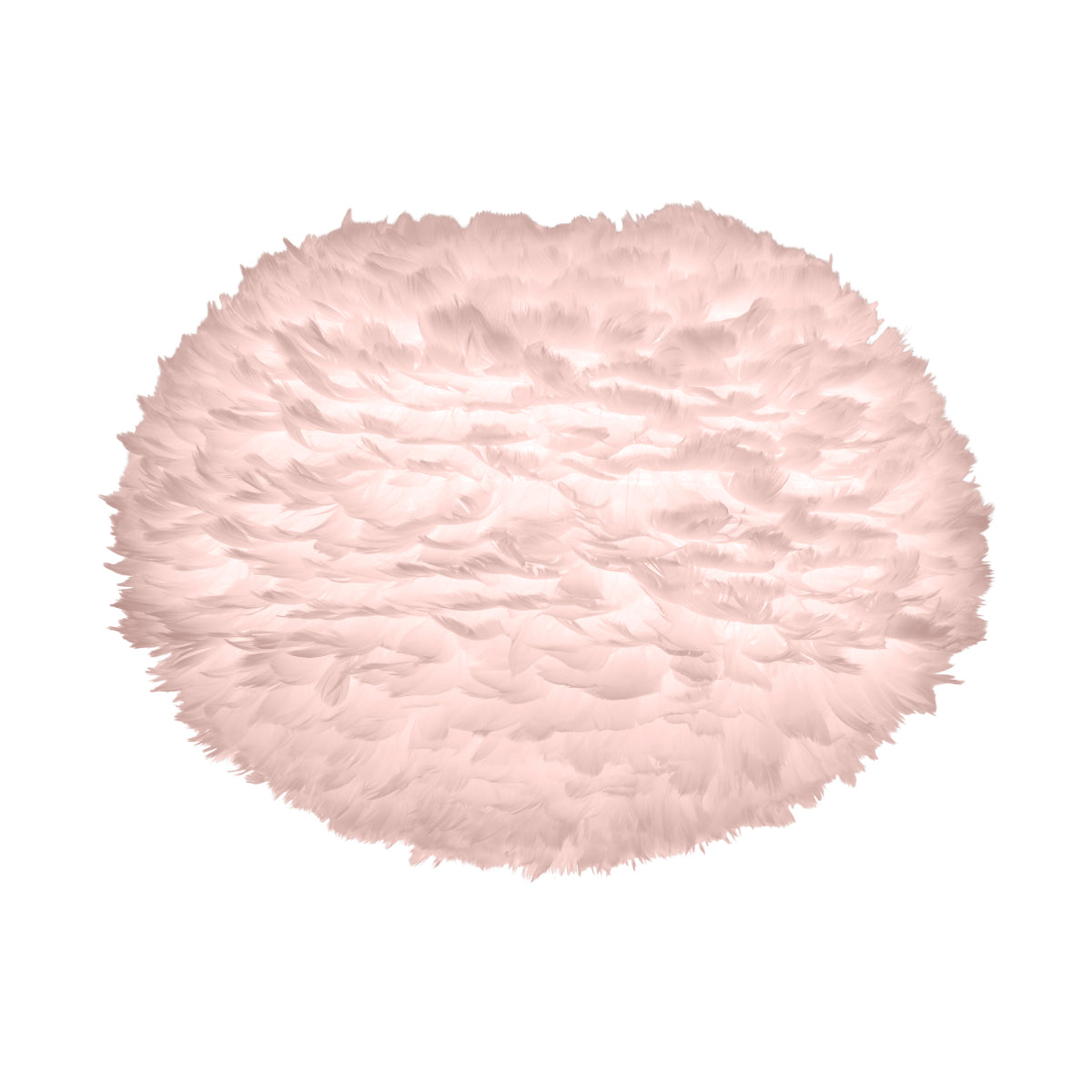 EOS Willow Light Rose Wall Lamp