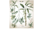 JUNGLE BOTANICS Wall Sticker 87x100CM